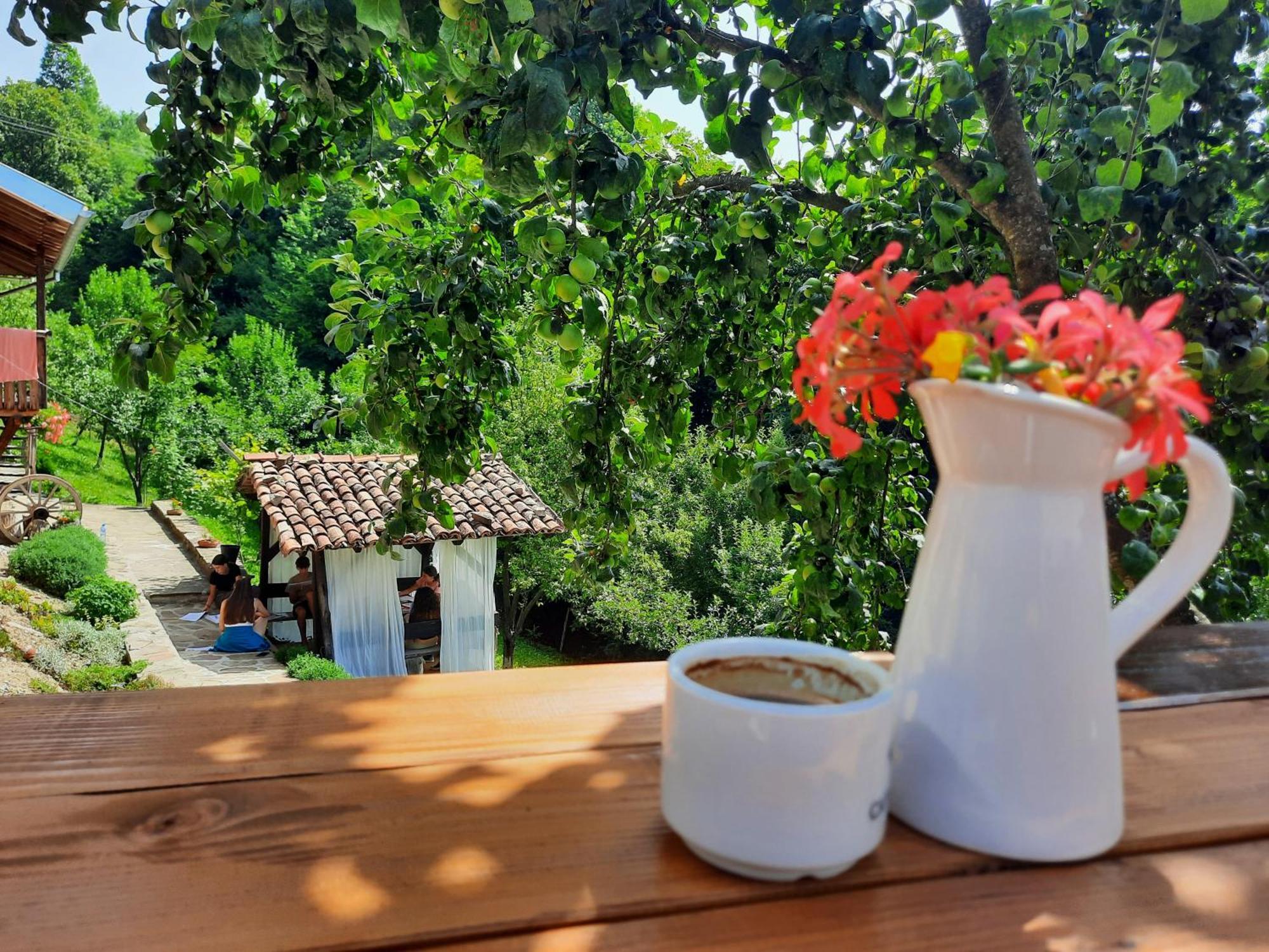Guest House Kandaferi 2 ايلينا المظهر الخارجي الصورة